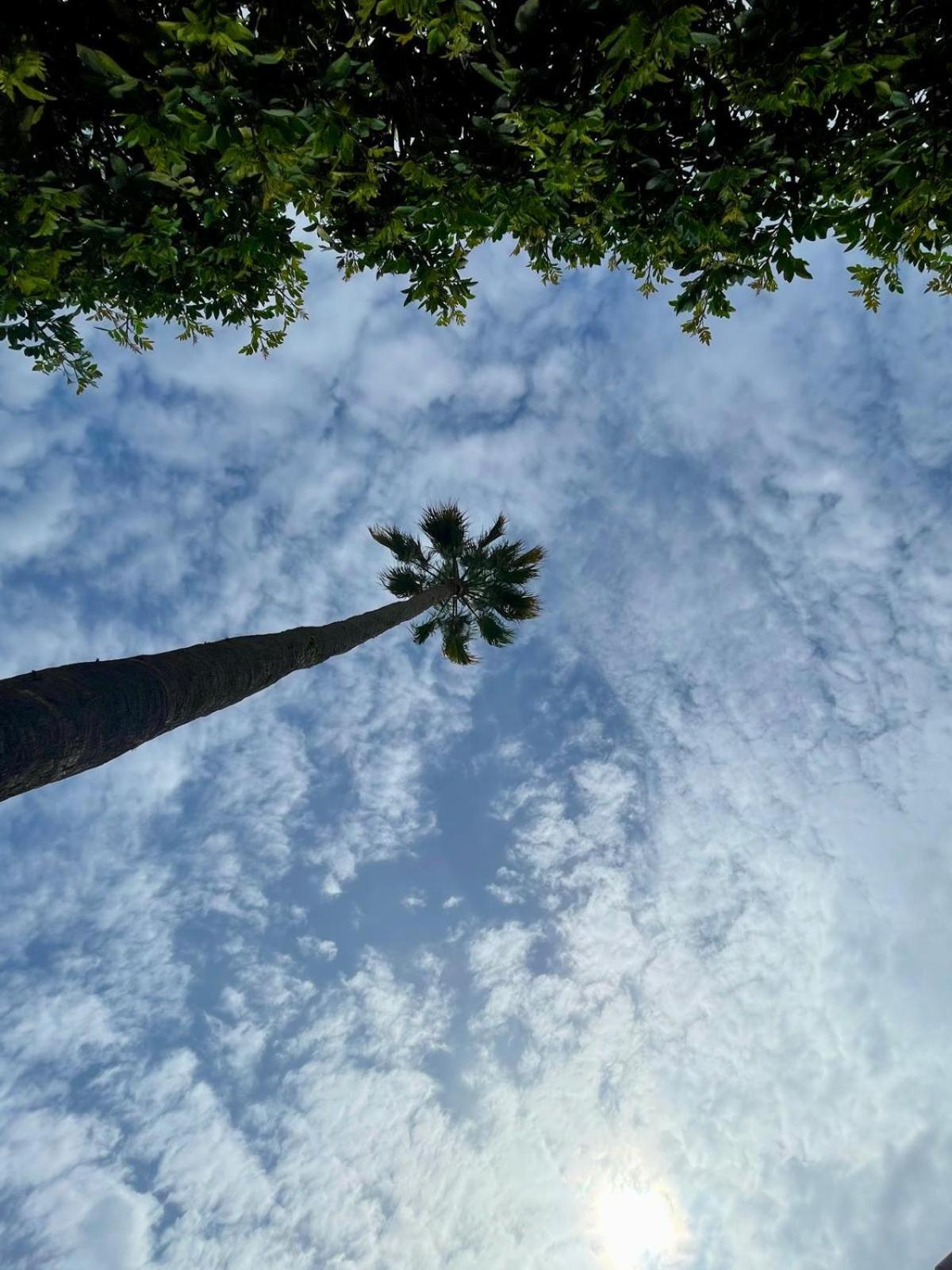 Serenity Garden Maspalomas  Exterior photo